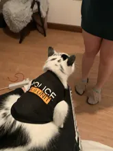 Traje de policía para Cosplay de perros y gatos, chaleco elástico negro, camiseta de cachorro, accesorios, ropa, disfraces