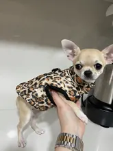 Ropa de invierno para mascotas, atuendo con chaleco cálido para perros pequeños, abrigo para perro, Chihuahua acolchado, a prueba de viento, 20