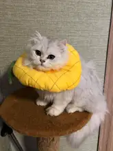 Gato-Collar de algodón con forma de aguacate para perros, cuello circular ajustable, protector para el cuello, con cono de recuperación para heridas