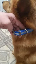 Collar TPU Pet-Supplies Reflective-Safety-Collars Pet-Dog Nylon Deodorant Night-Glowing