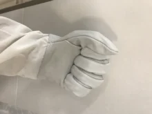 Beekeeping-Gloves Apiculture Anti-Bee-Anti-Sting for Professional 1-Pair Sheepskin