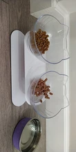 Cat-Bowls Products Pet-Food Raised-Stand Pet-Supplies Cats-Dogs-Feeders Non-Slip Double