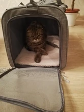 Dog-Carrier-Bag Travel-Bags Dog-Backpack Transport Soft-Side Airline-Approved Cats Small