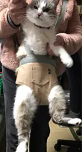 Pet-Carrier Backpack Pad-Bags Pet-Products Travel Adjustable Outdoor for Cat-Supplies
