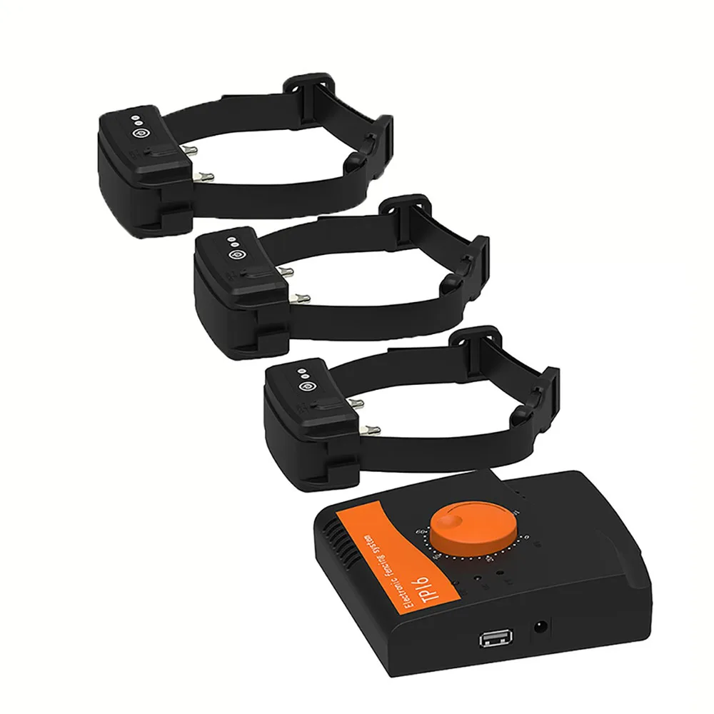 

Waterproof Electric Dog Fence Hidden Rechargeable Pet Containment Kit For 3 Dogs