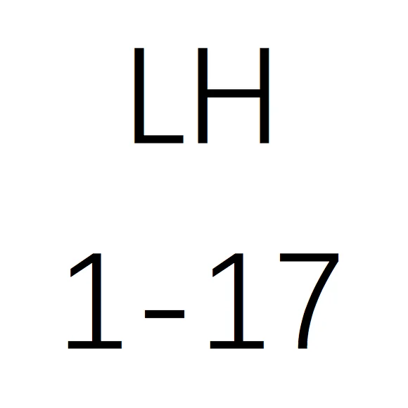 LH 1-17 SS