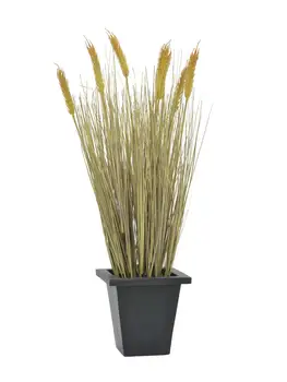 

EUROPALMS Wheat ready to harvest, artificial, 60cm