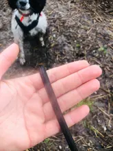 Correa de nailon para perros medianos y grandes, cordón redondo de seguimiento largo, para entrenamiento al aire libre, para caminar, 5M/10M/15M