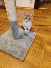 3pcs New Plush Simulation Mouse Cat Toy Plush Mouse Cat Scratch Bite Resistance Interactive