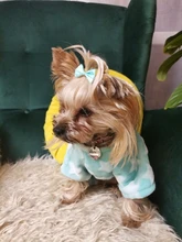 Pijamas de perros para otoño e invierno, Mono para perros pequeños, jerseys Shih Tzu Yorkshire, ropa de lana suave para cachorros y gatos