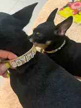 Personalized Dog Collar Leather Rhinestone Bling Charms Custom Pet Dogs Cat Name