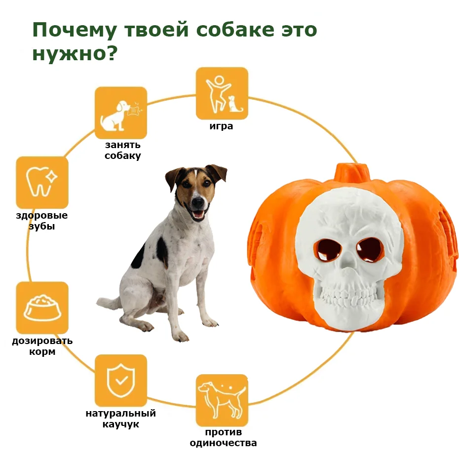Можно давать собаке тыкву сырую