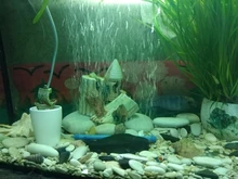 Oxygen-Pump Bubble-Bar Sand-Stone Aquarium Fish-Tank Fresh