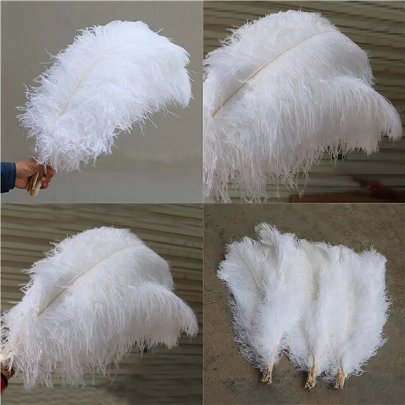 Wholesale 15-70cm Natural White Feathers Ostrich Plumes Diy Large Ostrich  Feathers Party Wedding Feathers For Crafts Decorations - Feather -  AliExpress