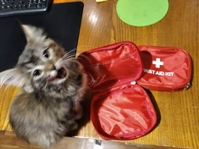 Mini bolsa de primeros auxilios táctica, Kit de supervivencia de emergencia para el hogar, Camping, viaje al aire libre, bolsa médica portátil