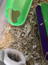 Jaula de Hamster de 11 estilos, accesorio para baño, Sauna, bañera, mascota pequeña, puede prevenir de forma efectiva el polvo de sierra