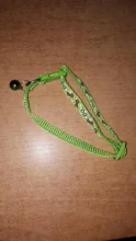 Light-Collar Bell Breakaway Kitten-Accessories Neck Chat Cute with Pet-Dog Anti-Etranglement