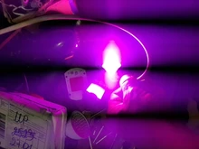 Phyto-Lamp Seedling Flower-Growth Cob-Chip Indoor-Plant Full-Spectrum AC220V 10W 20W