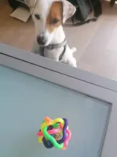 Woven-Ball Bell Chew-Toys Rubber Teeth-Cleaning-Ball 8cm 5cm with Pet-Dog Cat Braided