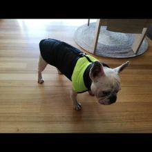 Chaleco impermeable para perros grandes y pequeños, abrigo cálido de invierno para cachorros, ropa para mascotas, 4XL, 5XL, nuevo