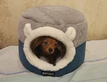 Bed Kennel Cat-House Hoopet Cave Home Dog-Puppy Warm for Teddy