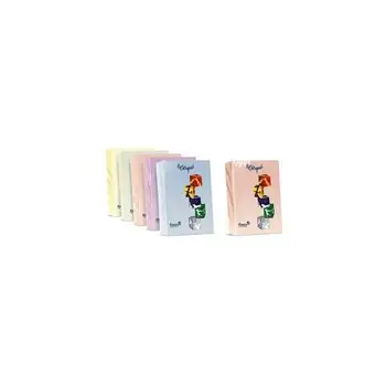 

Ream 250 sheets paper LeCirqueA4 160 g suede A74R304FAVINI8.91
