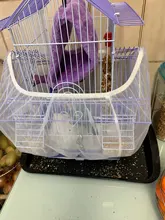 Cover Cage-Bag Catcher-Supplies Bird-Cage Parrot-Sleeve Mesh Nylon Fabric Receptor-Guard