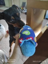 Chanclas de felpa para mascotas mordedores de juguete para perros pequeños, Chihuahua, Pug, chirriantes, juguetes para perros, chillones, suministros para mascotas, Honden Speelgoed