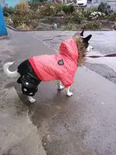 Coat Dogs-Clothing Dot-Pattern Winter Hooded Pet-Dogs New Xl To High-Quality