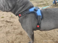 Durable Reflective Pet Dog Harness For Dogs Adjustable Big Dog Harness Pet Walking Harness