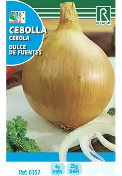 

Seeds to plant sweet onion from sources