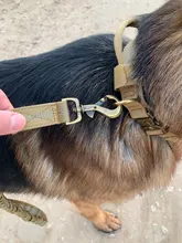 Collar táctico para perro, conjunto de correa ajustable para mascotas, entrenamiento militar al aire libre, caza, liberación rápida, perros medianos y grandes, Pastor Alemán