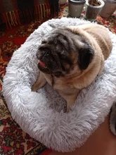 FortyLions-Cama larga de felpa para perros y gatos, cojín largo de felpa super suave y esponjoso para mascotas, cómoda para casa