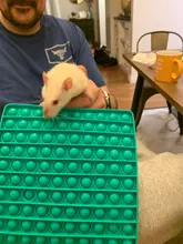 Juguetes de gran tamaño para niños y adultos, juguete antiestrés, con burbujas, sensorial, blando, regalo