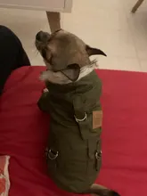 Chaqueta con capucha para gatos domésticos y perros, abrigo cálido para invierno, para perros medianos y pequeños, Chihuahua, ropa ligera