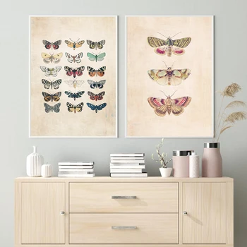 

Vintage Butterfly Prints Insect Nature Kids Education Poster Nursery Wall Art Pictures Canvas Painting Children Room Decoration