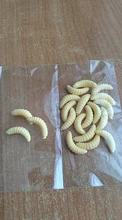 Maggot Grub Baits-Smell Worms Shrimps Fishing-Bait Soft-Lure Glow Selling 20pcs/Lot 2cm