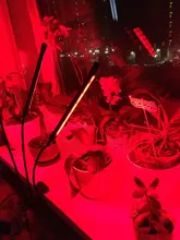 Grow-Light Lamps Timer Flowers Desktop-Clip LED Phyto Full-Spectrum For Plants DC5V USB