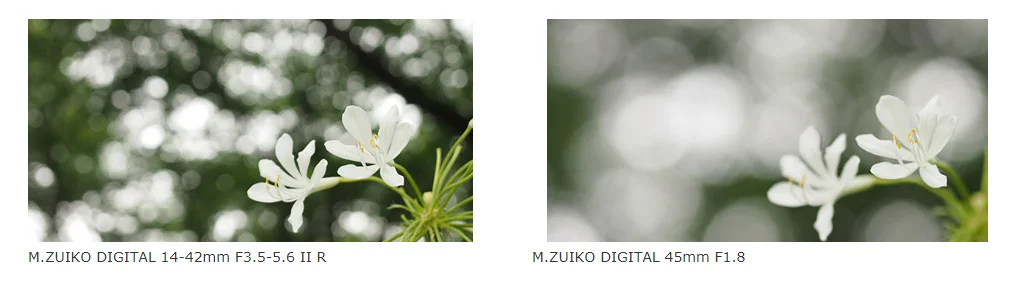 Сменный объектив Olympus M. Zuiko Digital 45mm F1.8(черно-серебристый