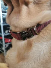 Leash Set Collars Lead Name Custom Personalized Adjustable Plaid Suit Id-Tag Faber