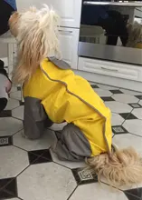 Mono impermeable para perro mascota, ropa impermeable para exteriores, mono con capucha para perros pequeños y grandes, capa impermeable, Bulldog francés