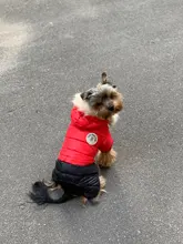Jacket Bulldog-Clothing Pet-Coat Puppy Dogs Pug Chihuahua French Waterproof Winter Small