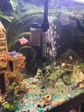 Bomba de cambio de agua de acuario eléctrica, cambiador de agua, limpiador de grava, sifón para tanque de peces, bomba filtro de agua, novedad