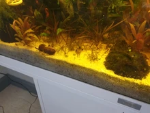 Fish-Tank Aquarium Shrimp Food Natural-Spinach Crystal Red 35g Mixed-Ingredient Hotest