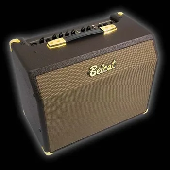 

Acoustic-25c combo amplifier for acoustic guitar, 25 W, Horus