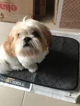 Seat-Bed Diaper-Mat Urine Absorbent Training-Pad Washable Dog-Pet Waterproof Protect