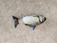 Doll-Pillow Cat-Toy Cat Mint Simulation-Fish Grass-Carp Funny New Pet-Molar