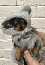 Fleece Pet Dog Clothes Winter Warm Dog Coat Jacket for Dogs Hoodie Soft French Bulldog