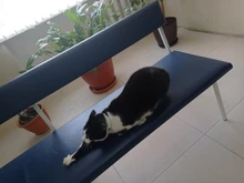 Tobilleras de corazón Simple para mujer, joyería para pies, tobilleras para pierna, brazaletes para pie, cadena para piernas, regalos