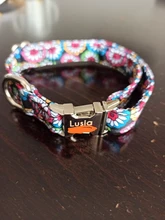 Collar de nailon para perro, personalizado con placa de etiqueta de identificación grabada para mascota, reflectante, perros pequeños, medianos y grandes